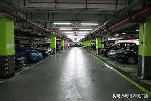 今后停車方便了 石家莊主城區(qū)11處綠地下方將建公共停車場(chǎng)